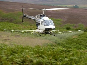 Bracken Spraying 2